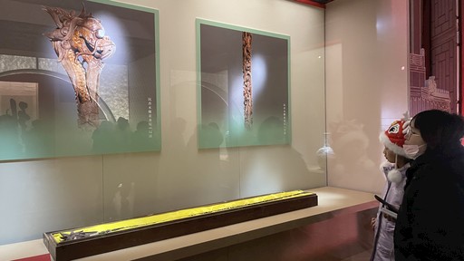 祥龙贺岁颐和园藏龙纹题材文物特展亮相颐和园